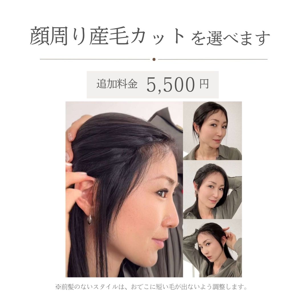3Dウィッグ ショート(5スタイル)医療用全頭用ウィッグ