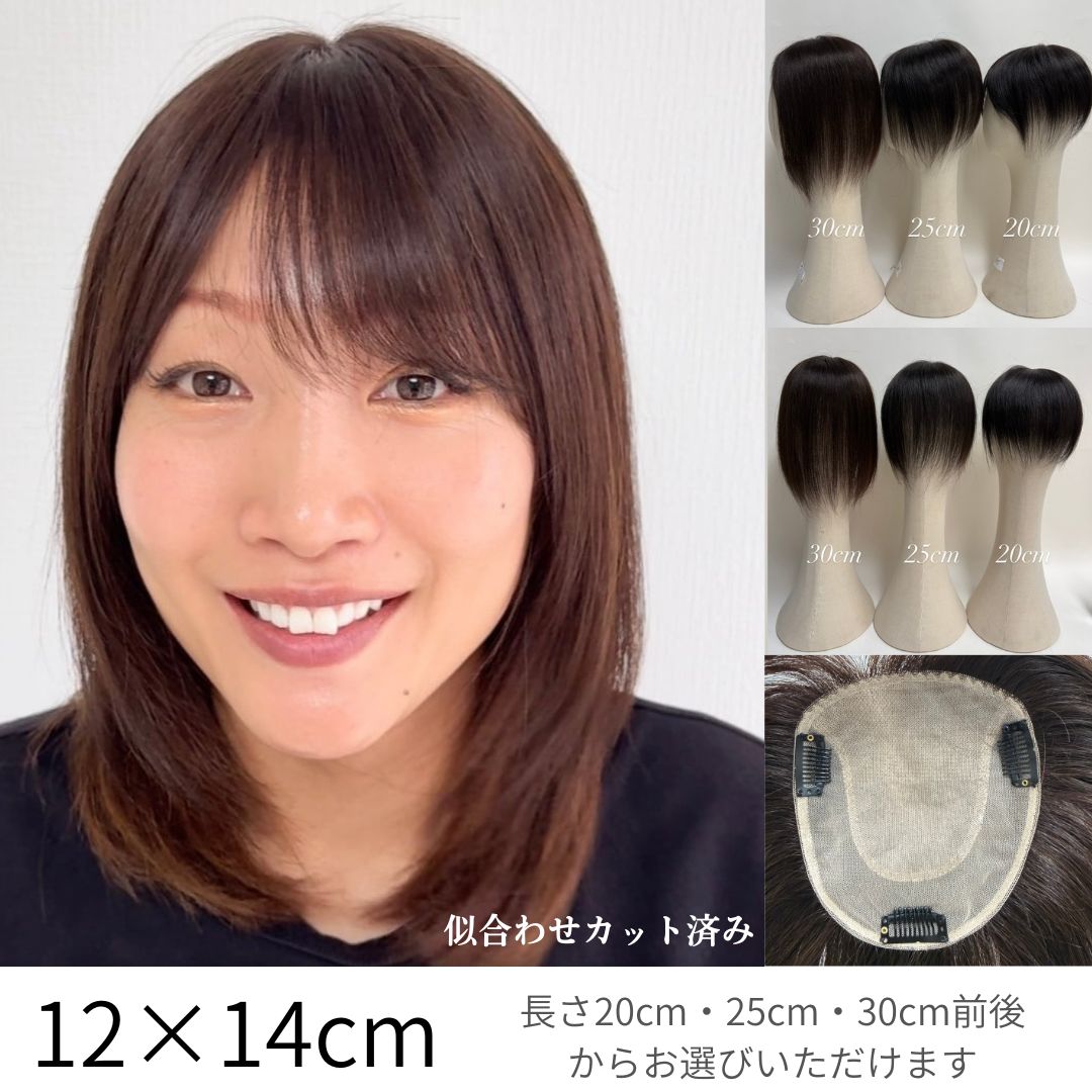 チップスピース(百合子ワイヤー付き) 部分用ウィッグ